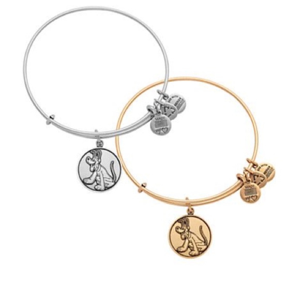 ISO: Alex and Ani Pluto bracelet